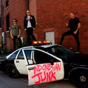 Indonesian Junk - Stars In The Night (LP, Album) image