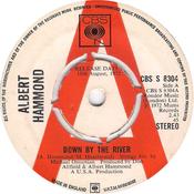 Albert Hammond - Down By The River (7", Single, Promo) image