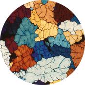 Tooli - Tompkins Square Park (12", EP) image