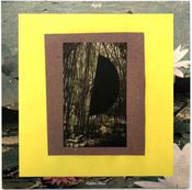 Mujo情 - Hidden Forest (LP, Album)