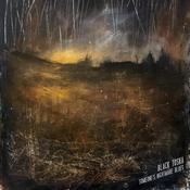 Black Toska - Someone's Nightmare Blues (10", EP) image