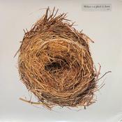 Wilco - A Ghost Is Born (2xLP, Album, Gat) image