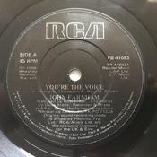 John Farnham - You're The Voice / Going, Going, Gone (7", Single) image