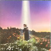Honne - Let's Just Say The World Ended A Week From Now, What Would You Do? (LP, Album, Cle) image