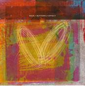 Sack  - Butterfly Effect (LP) image