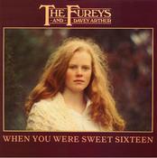 The Fureys &amp; Davey Arthur - When You Were Sweet Sixteen (LP, Album) image