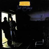 Stewart &amp; Kyle - Isn't It Strange (LP) image