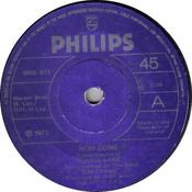 Ronnie Lane Accompanied By The Band Slim Chance* - How Come? (7")