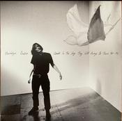 Porridge Radio - Clouds In The Sky They Will Always Be There For Me (LP, Album) image