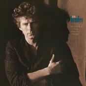 Don Henley - Building The Perfect Beast (2xLP, RE, RM, Gat) image
