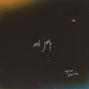 Mt. Joy - Hope We Have Fun (LP, Coy) image