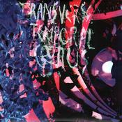 Animal Collective - Transverse Temporal Gyrus (12", EP, RSD, Ltd)
