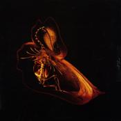 Bola - Gnayse (2x12", Album)