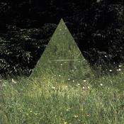 Slugabed - Time Team (2xLP, Album + 12", Ltd, Gre) image
