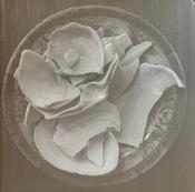 Bee Mask - Vaporware / Scanops (LP, Album, Ltd)