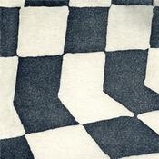 Ducktails - The Flower Lane (LP, Album) image