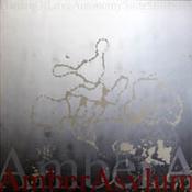 Amber Asylum - GardenOfLoveAutonomySuiteStillPoint (10", EP) image