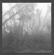 Eidetic Seeing - Against Nature (LP, Album) image