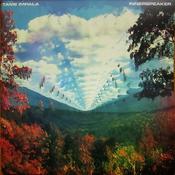 Tame Impala - Innerspeaker (2xLP, Album, RE) image