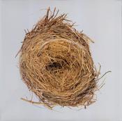 Wilco - A Ghost Is Born (2xLP, Album, RE, Gat) image