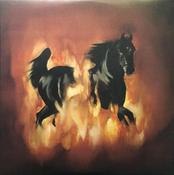 The Besnard Lakes - The Besnard Lakes Are The Dark Horse (LP, Album)