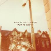 House of Cosy Cushions - Haunt me Sweetly