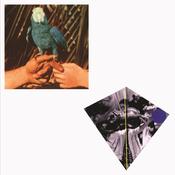 Andrew Bird - Are You Serious