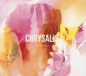 AVAWAVES Anna Phoebe Aisling Brouwer - Chrysalis image