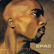 2Pac - Until The End Of Time image