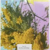 Four Tet - Into Dust (Still Falling)