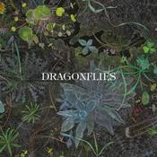 The Dragonflies - Dragonflies image