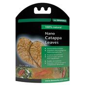 Dennerle Catappa Leaves