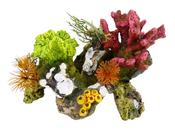 Classic Coral Rock &amp; Plants 170mm