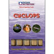 Ocean Nutrition Frozen Cyclops Cubes 100g image