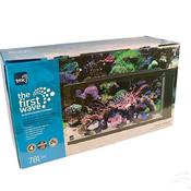 First Wave Aquarium Set - 78L