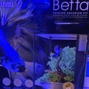 Fluval 20L Betta Aquarium Kit image