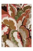 Calathea amber-brazillian rosewood (142907) Rug image