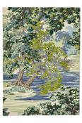 Ancient Canopy Forest Green (146708) Rug