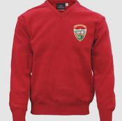 Buaile Beag Cotton V-Neck (HBBV)