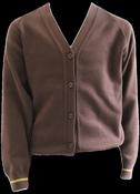 Scoil Fhursa Cardigan (SFHCA)