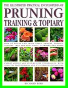 Pruning, Training &amp; Topiary; Richard Bird image