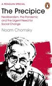The Precipice: Neoliberalism, the Pandemic and the Urgent Need for Social Change; Noam Chomsky image