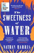 The Sweetness of Water; Nathan Harris image