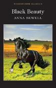 Black Beauty; Anna Sewell image