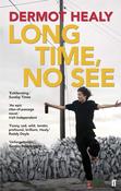 Long Time, No See; Dermot Healy image
