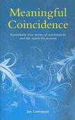 Meaningful Coincidence, Remarkable True Stories of Synchronicity and the Search for Answers; Jan Cederquist image