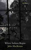 Where Sadness Begins; John MacKenna (Salmon Poetry) image