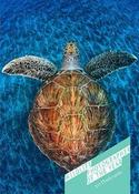 Wildlife Photographer of the Year: 20 Postcards