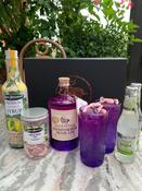 Italian Fig Spritz Cocktail Kit image