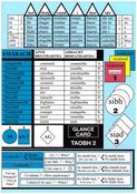 Irish Grammar Glance Card